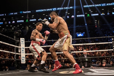 Gervonta Davis Poster 3587358