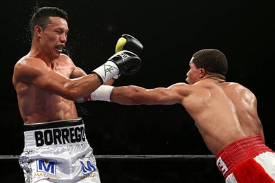 Gervonta Davis Poster 3587360