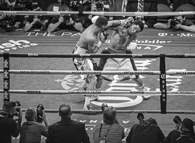 Gervonta Davis Poster 3587395