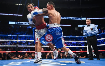 Gervonta Davis Poster 3587408
