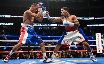 Gervonta Davis Poster 3587458
