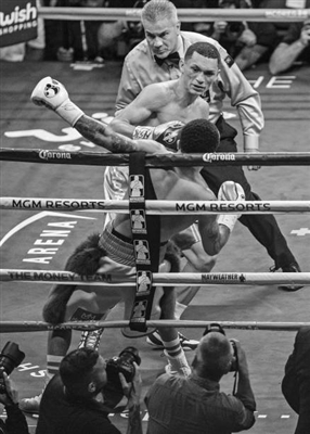 Gervonta Davis Poster 3587469