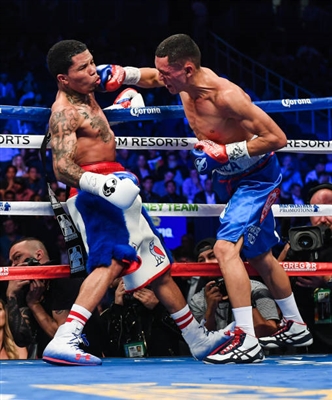 Gervonta Davis Poster 3587485