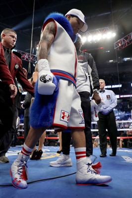Gervonta Davis Poster 3587492