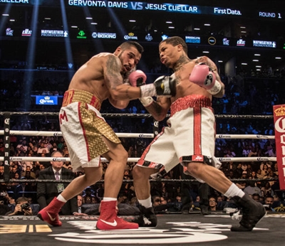 Gervonta Davis Poster 3587519