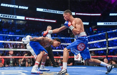 Gervonta Davis Poster 3587534