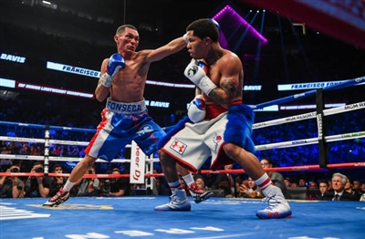 Gervonta Davis Poster 3587563