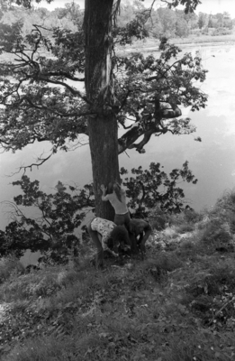 Grand Funk Railroad Poster 2549234