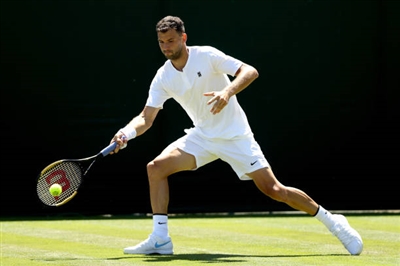Grigor Dimitrov Poster 3359315
