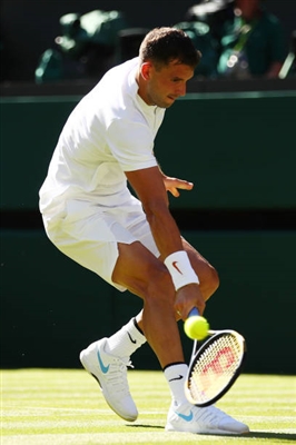 Grigor Dimitrov Poster 3359319
