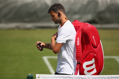Grigor Dimitrov Poster 3359321