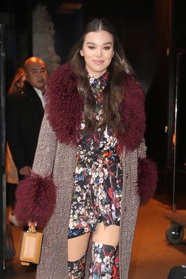 Hailee Steinfeld Poster 3729788