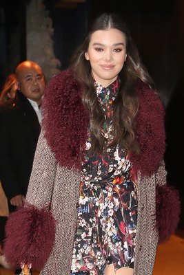 Hailee Steinfeld Poster 3729909