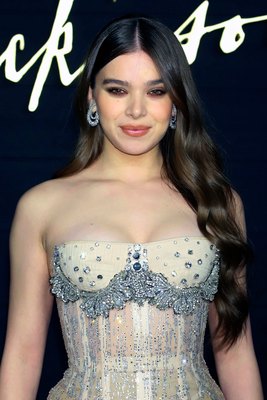 Hailee Steinfeld Poster 3911246