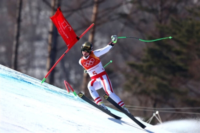 Hannes Reichelt Poster 3645356