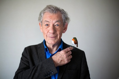 Ian McKellen Poster 2305183