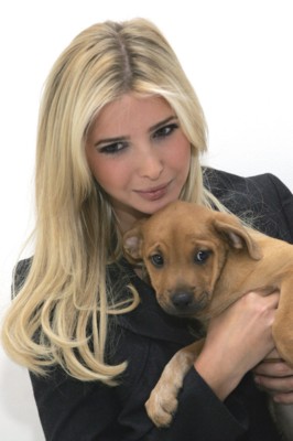 Ivanka Trump Poster 1463142