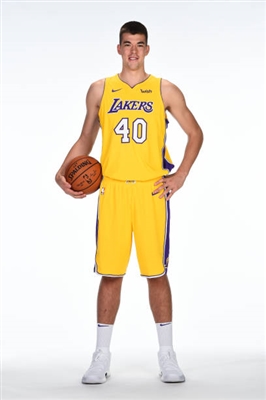 Ivica Zubac Poster 3460182
