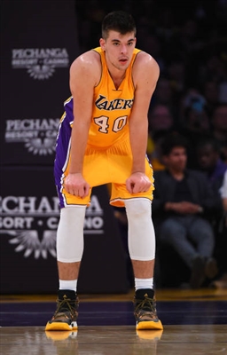 Ivica Zubac Poster 3460200