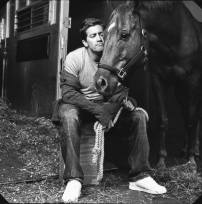 Jake Gyllenhaal Poster 1373899