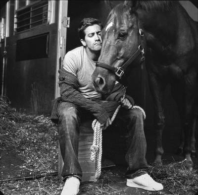 Jake Gyllenhaal Poster 2377647