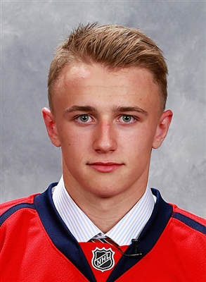 Jakub Vrana Poster 3571790