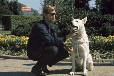James Franciscus Poster 2554888