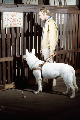 James Franciscus Poster 2554892