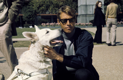 James Franciscus Poster 2554919