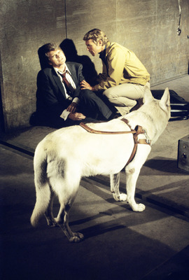 James Franciscus Poster 2554947