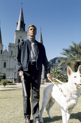 James Franciscus Poster 2554951