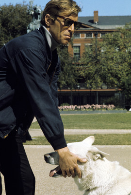 James Franciscus Poster 2554954