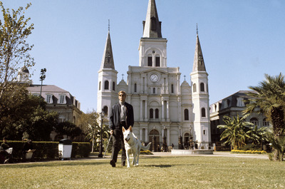 James Franciscus Poster 2554957