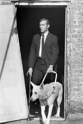 James Franciscus Poster 2554996