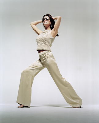 Janice Dickinson Poster 3625671