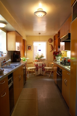 Janice Dickinson Poster 3817307