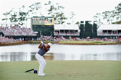 Jason Day Poster 3484842