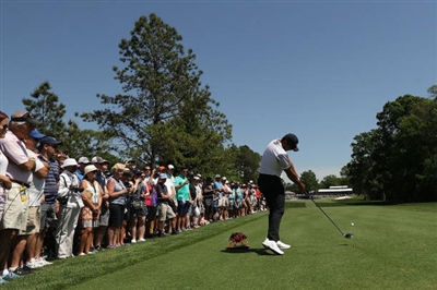 Jason Day Poster 3484880