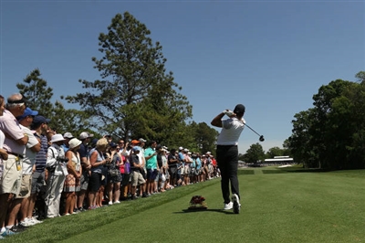 Jason Day Poster 3485007