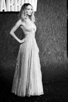 Jennifer Lawrence Poster 3132889