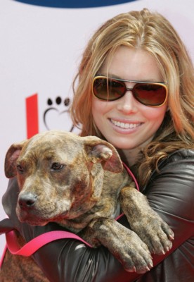 Jessica Biel Poster 1429968