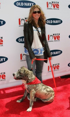 Jessica Biel Poster 1429969