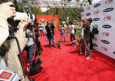 Jessica Biel Poster 1429974