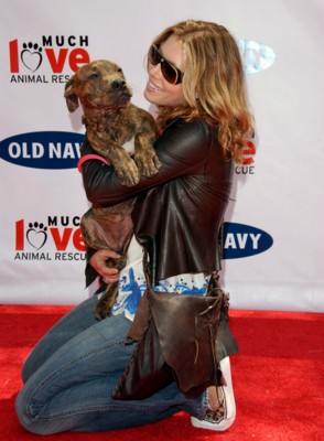 Jessica Biel Poster 1429982