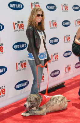 Jessica Biel Poster 1429984