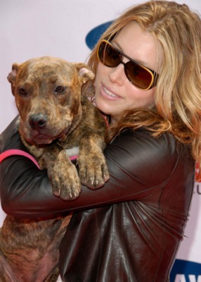 Jessica Biel Poster 1429988