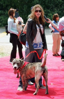 Jessica Biel Poster 1429989