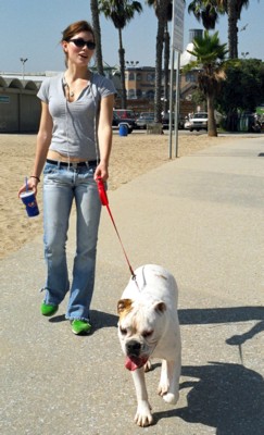 Jessica Biel Poster 1429996