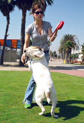 Jessica Biel Poster 1429999