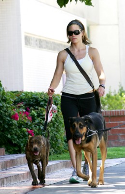 Jessica Biel Poster 1453464